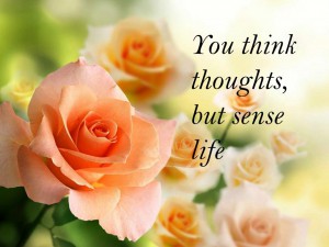 You think thoughts, but sense life