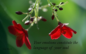 Your emotions constitute the language of your soul